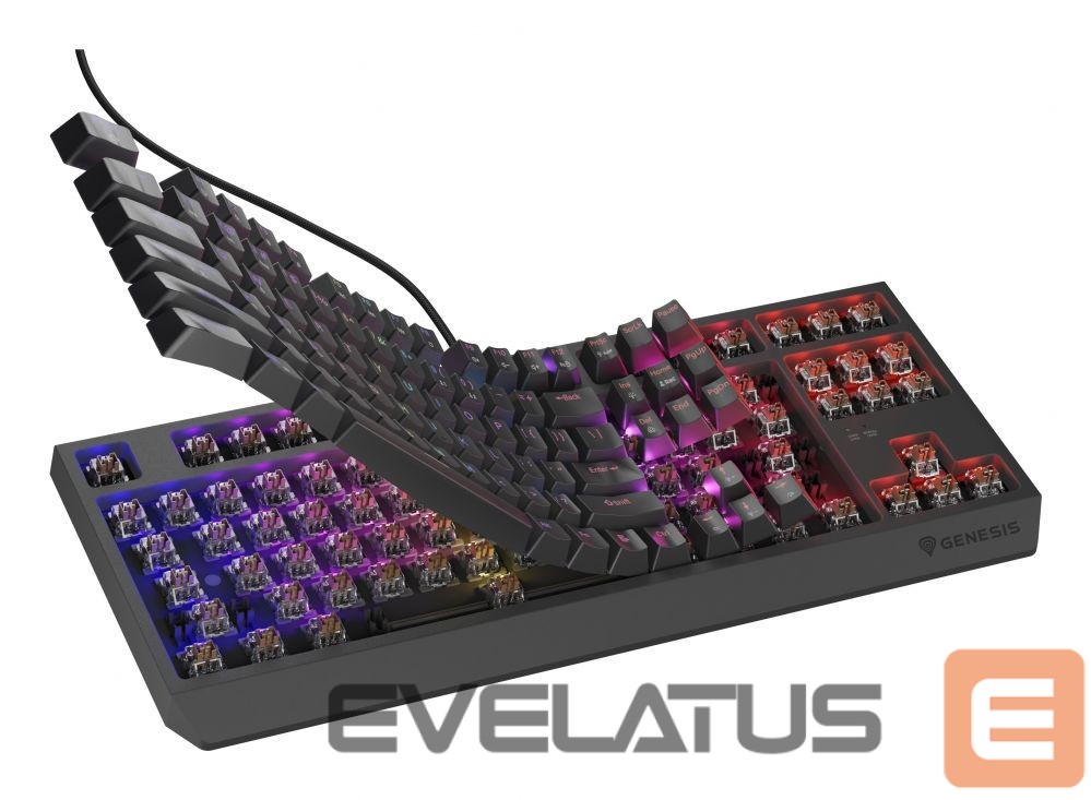Computer keyboard Genesis THOR 230 | Mechanical Gaming Keyboard | Wired | US | Black | USB Type-A | Outemu Brown
