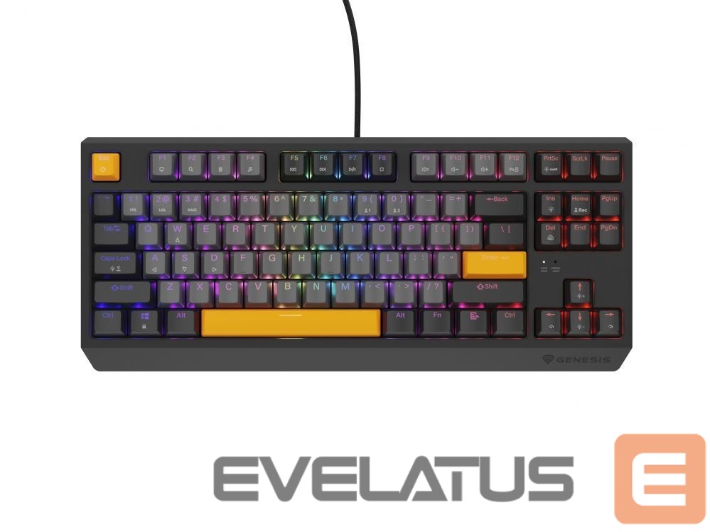 Computer keyboard Genesis THOR 230 | Mechanical Gaming Keyboard | Wired | US | Anchor Gray Negative | USB Type-A | Outemu Red