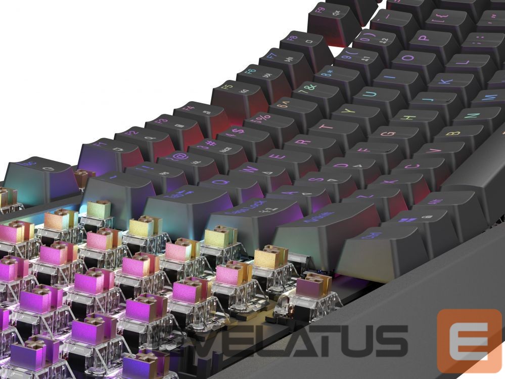 Computer keyboard Genesis THOR 230 | Mechanical Gaming Keyboard | Wired | US | Black | USB Type-A | Outemu Brown
