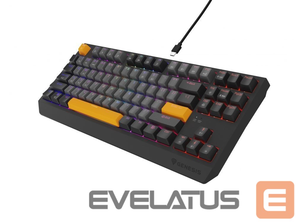 Computer keyboard Genesis THOR 230 | Mechanical Gaming Keyboard | Wired | US | Anchor Gray Negative | USB Type-A | Outemu Red