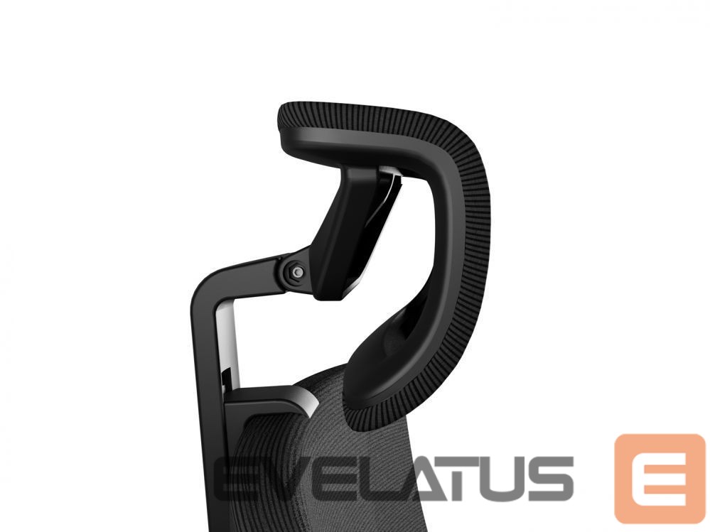 Computer chairs / desks Genesis Ergonomic Chair Astat 200 Black