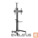 TV accessories Gembird  TV SET ACC FLOOR STAND 37-70"/TVS-70T-02 