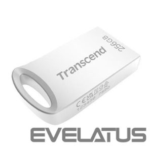 Flash drive Transcend  MEMORY DRIVE FLASH USB3.1/256GB TS256GJF710S 