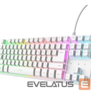 Computer keyboard Trust  KEYBOARD USB GXT 833W THADO/TKL ENG WHITE 25894 
