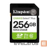 Other Computer Accessory Kingston  MEMORY SDXC 256GB UHS-I/SDS3/256GB 