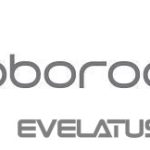 Vacuum cleaner accessory Roborock  VACUUM ACC CARPET BRUSH/GRAY 9.06.0179 