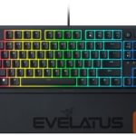 Computer keyboard Razer  Klaviatūra Razer Ornata V3 Tenkeyless Black 