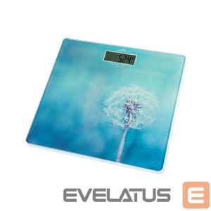 Scales ETA  Personal Scales | 178090040 Breeze | Maximum weight (capacity) 180 kg | Accuracy 100 g | Blue 