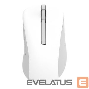 Computer mouse Asus  Wireless Mouse | MD102 | Mouse | 2.4 GHz, Bluetooth | White 
