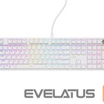 Computer keyboard Genesis  Thor 404 | Mechanical Gaming Keyboard | Wired | US | White | USB | Gateron Yellow Pro 