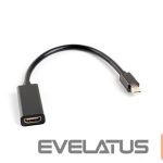 Charger Lanberg  Adapter Cable DisplayPort Mini to HDMI, 20 cm | AD-0005-BK 