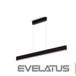 Desc lamp Philips Hue  Ensis pendant black 79W 24V | 79 W | White and Colour Ambiance 2000-6500K 