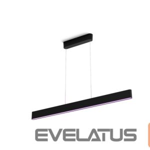 Desc lamp Philips Hue  Ensis pendant black 79W 24V | 79 W | White and Colour Ambiance 2000-6500K 