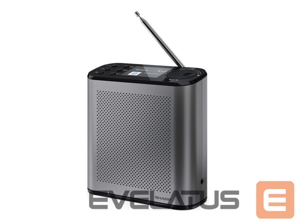 Interactive solution Sharp OSAKA Portable Digital Radio | DR-P530(GY) | USB port | Bluetooth | FM radio | Wireless connection