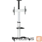 TV bracket Logilink  BP0025 TV stand cart, adjustable TV height, 37–70“, max. 50 kg  Floor stand, BP0025, 30-70 