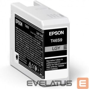 Printer accessories EPSON  UltraChrome Pro 10 ink T46S9 Ink cartrige, Light Gray 