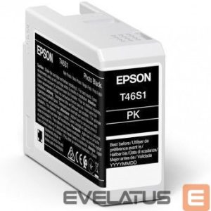 Printer accessories EPSON  UltraChrome Pro 10 ink T46S1 Ink cartrige, Photo Black 