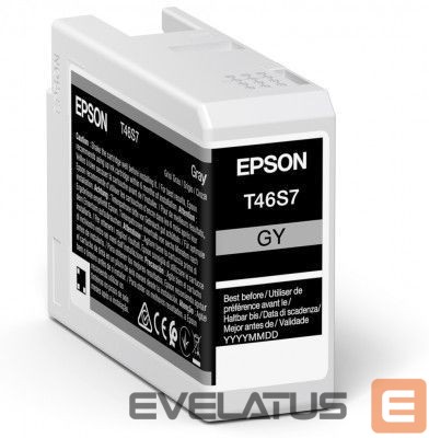 Printer accessories EPSON UltraChrome Pro 10 ink T46S7 Ink cartrige, Grey