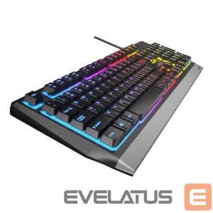 Computer keyboard Genesis  Rhod 300 RGB Gaming keyboard, RGB LED light, US, Black, Wired 