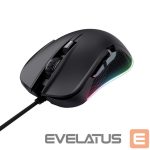 Computer mouse Trust  MOUSE USB OPTICAL GAMING/GXT 922 YBAR BLACK 24729 
