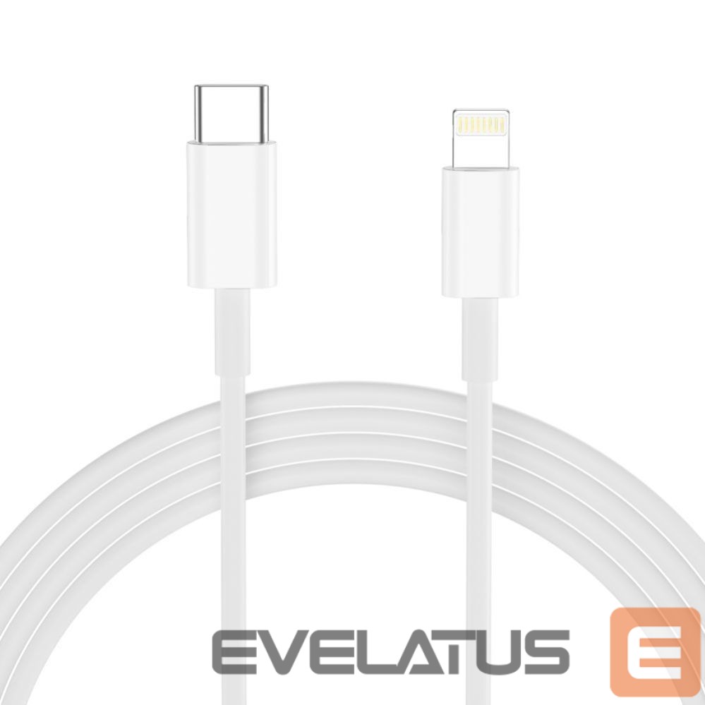 Other goods Tech-Protect Tech-Protect NC20W Wall Charger with 100 cm USB-C / Lightning Cable - White