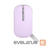 Computer mouse Asus  Marshmallow Mouse | MD100 | Mouse | 2.4 GHz, Bluetooth | Beige 
