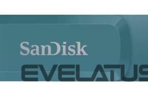 Flash drive SANDISK BY WESTERN DIGITAL  MEMORY DRIVE FLASH USB-C 512GB/SDDDC3-512G-G46NBB SANDISK 