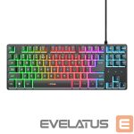 Computer keyboard Trust  KEYBOARD USB GXT833 THADO TKL/ENG BLACK 25886 