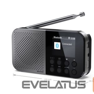 Interactive solution Sharp  DR-P520(GY) OSAKA Pocket/Handheld Portable Digital Radio, Grey | 