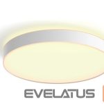 Desc lamp Philips Hue  Enrave XL ceiling lamp white | 48 W | White Ambiance 2200-6500 | Bluetooth 