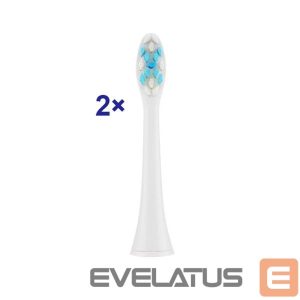 Toothbrush ETA  Toothbrush replacement SoftClean 070790300 Heads, For adults, Number of brush heads included 2, White 