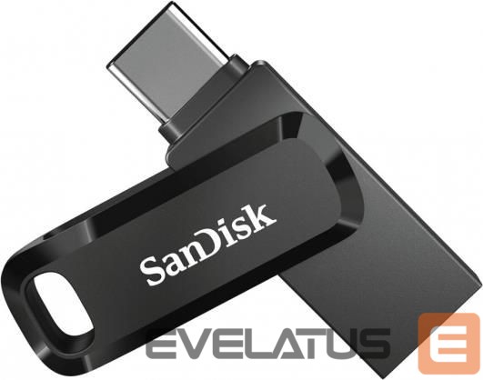 Flash drive SANDISK BY WESTERN DIGITAL MEMORY DRIVE FLASH USB-C 256GB/SDDDC3-256G-G46 SANDISK