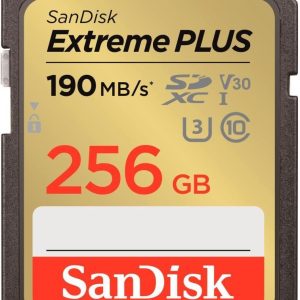 Other Computer Accessory SANDISK BY WESTERN DIGITAL  MEMORY SDXC 256GB UHS-1/SDSDXWV-256G-GNCIN SANDISK 