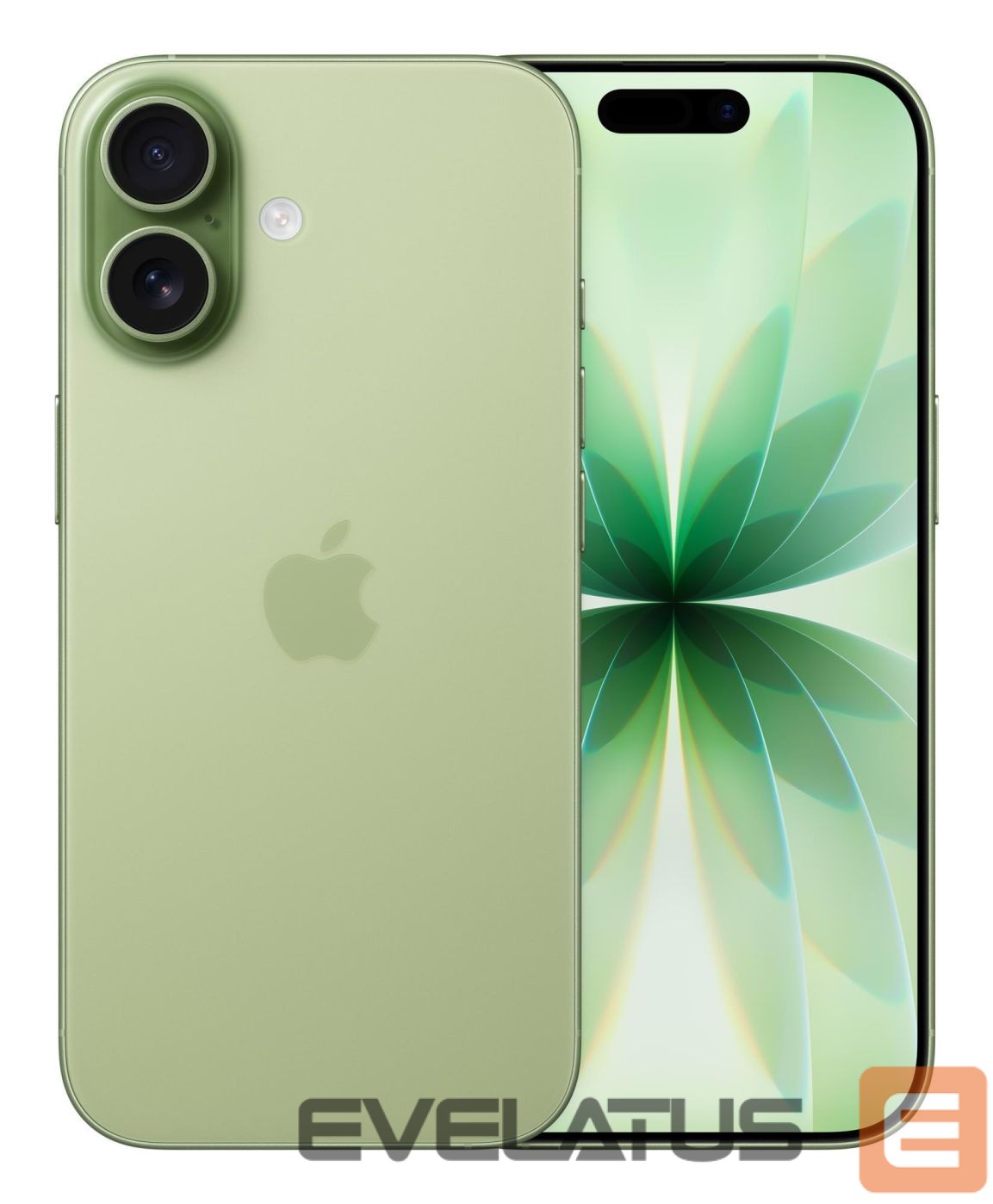 Smartphone Apple MOBILE PHONE IPHONE 17/256GB SAGE MG6N4