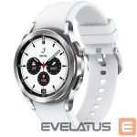 Smart watches Samsung  Galaxy Watch 4 Classic 42mm BT R880 Silver