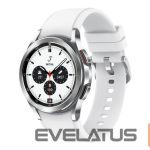Smart watches Samsung  Galaxy Watch 4 Classic 42mm R880 Silver