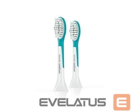 Toothbrush Philips ELECTRIC TOOTHBRUSH ACC HEAD/HX6032/33