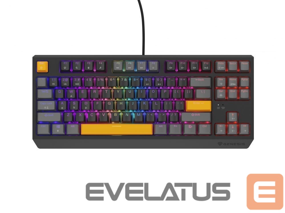 Computer keyboard Genesis THOR 230 | Mechanical Gaming Keyboard | Wired | US | Anchor Gray Positive | USB Type-A | Outemu Red
