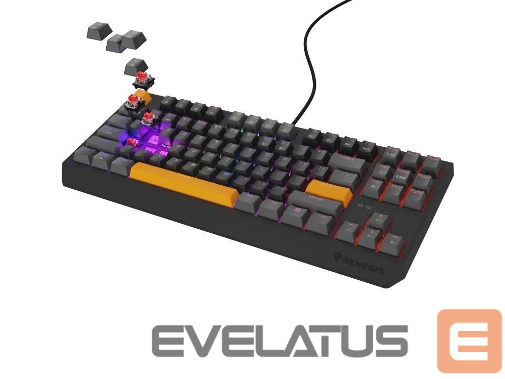 Computer keyboard Genesis THOR 230 | Mechanical Gaming Keyboard | Wired | US | Anchor Gray Positive | USB Type-A | Outemu Red