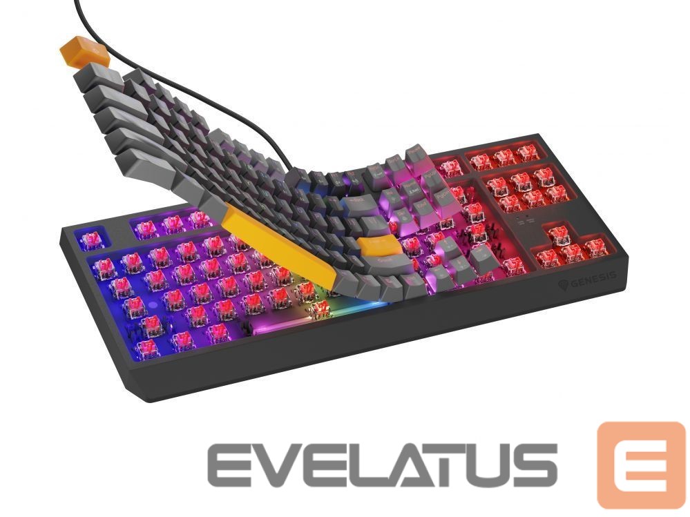 Computer keyboard Genesis THOR 230 | Mechanical Gaming Keyboard | Wired | US | Anchor Gray Positive | USB Type-A | Outemu Red