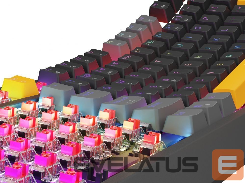 Computer keyboard Genesis THOR 230 | Mechanical Gaming Keyboard | Wired | US | Anchor Gray Positive | USB Type-A | Outemu Red