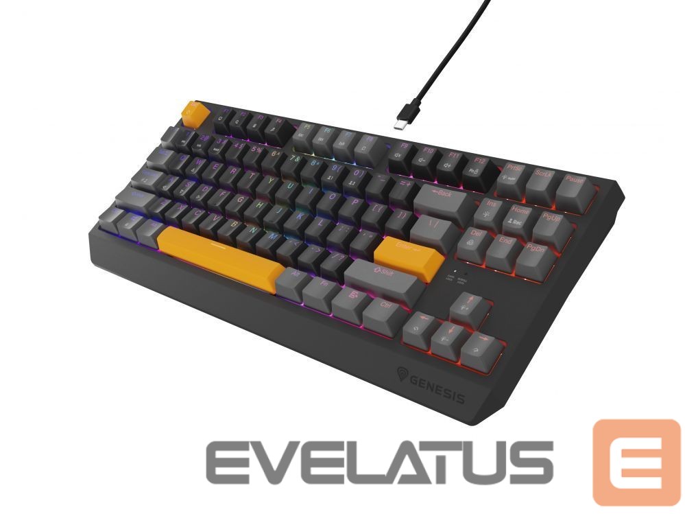 Computer keyboard Genesis THOR 230 | Mechanical Gaming Keyboard | Wired | US | Anchor Gray Positive | USB Type-A | Outemu Red