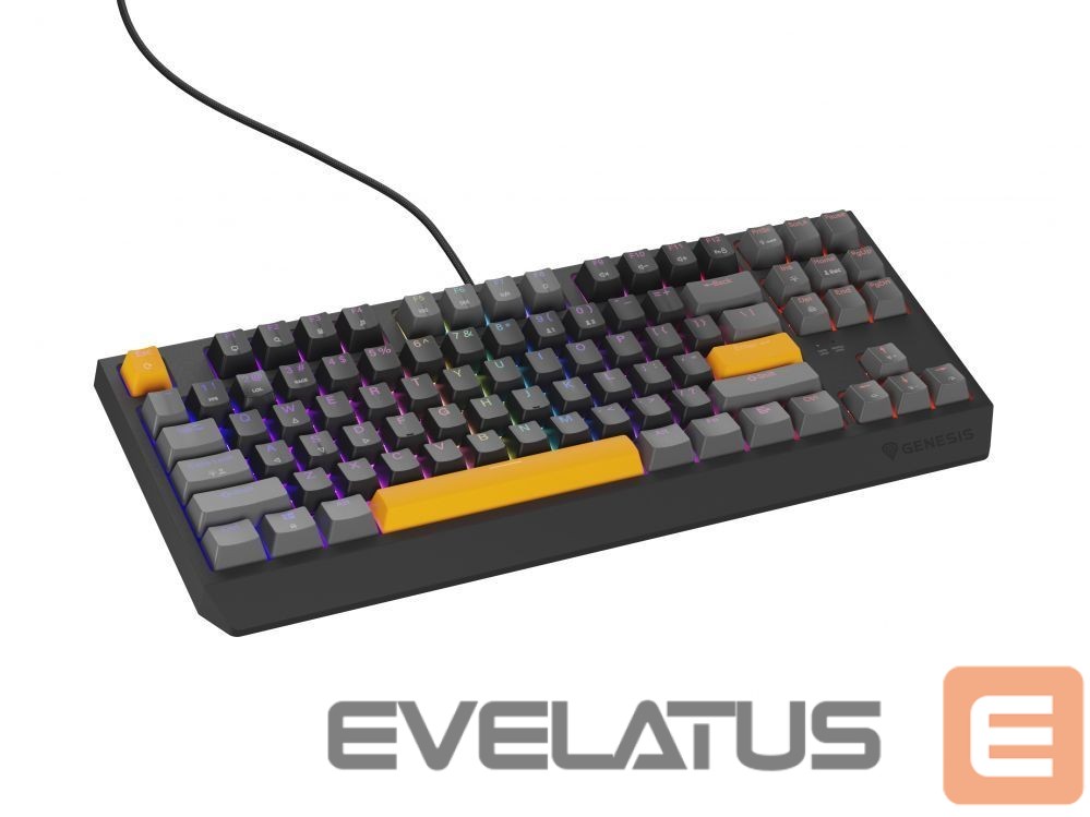 Computer keyboard Genesis THOR 230 | Mechanical Gaming Keyboard | Wired | US | Anchor Gray Positive | USB Type-A | Outemu Red