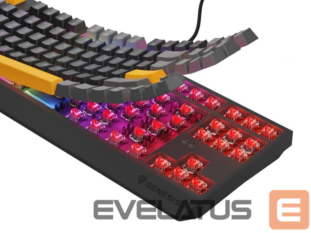 Computer keyboard Genesis THOR 230 | Mechanical Gaming Keyboard | Wired | US | Anchor Gray Positive | USB Type-A | Outemu Red