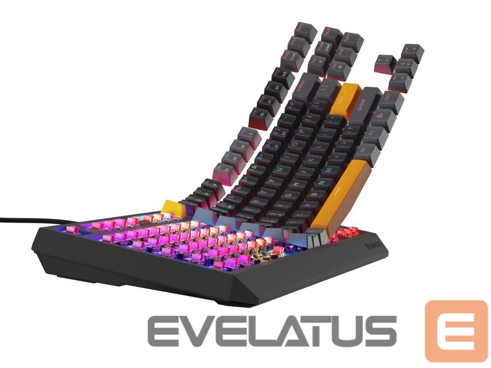 Computer keyboard Genesis THOR 230 | Mechanical Gaming Keyboard | Wired | US | Anchor Gray Positive | USB Type-A | Outemu Red
