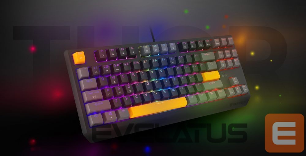 Computer keyboard Genesis THOR 230 | Mechanical Gaming Keyboard | Wired | US | Anchor Gray Positive | USB Type-A | Outemu Red