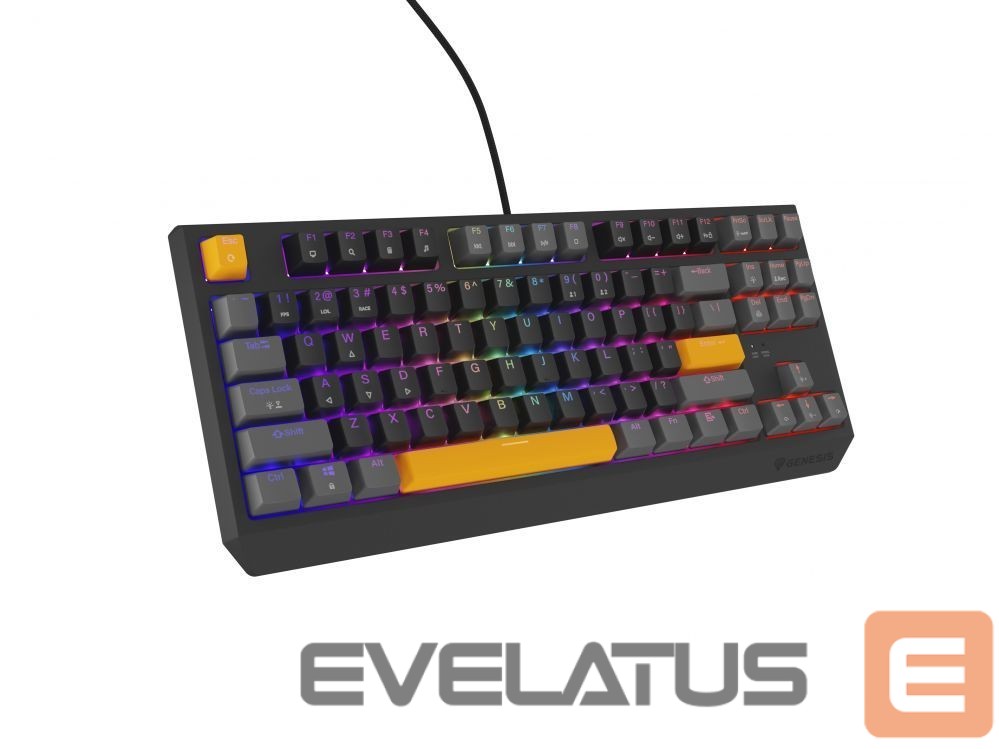 Computer keyboard Genesis THOR 230 | Mechanical Gaming Keyboard | Wired | US | Anchor Gray Positive | USB Type-A | Outemu Red