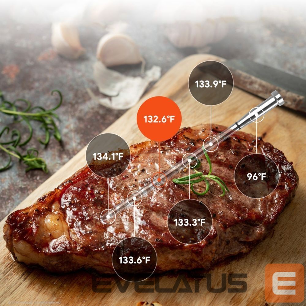 Smart device Metapen Meatmeet S Pro Kitchen Thermometer with Bluetooth App for Grill, Oven, Smoker - Gray