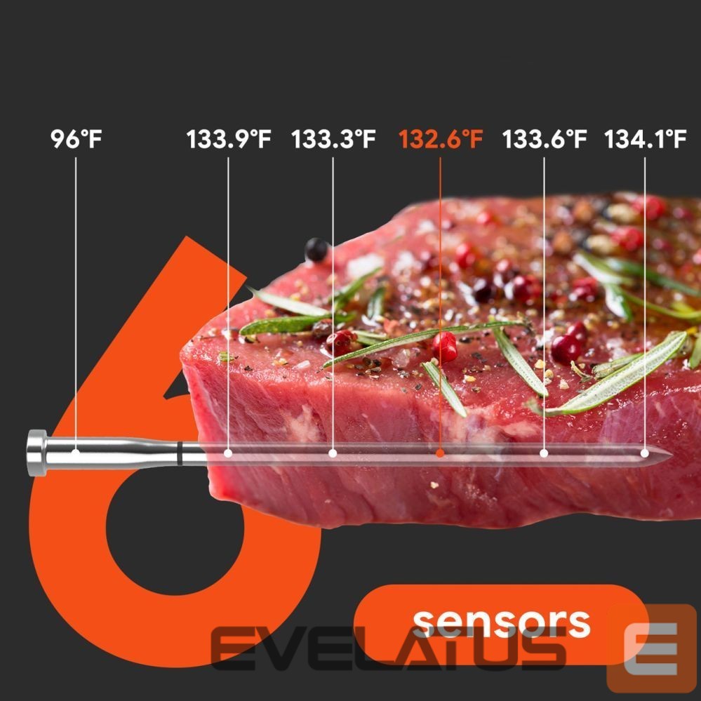 Smart device Metapen Meatmeet S Pro Kitchen Thermometer with Bluetooth App for Grill, Oven, Smoker - Gray