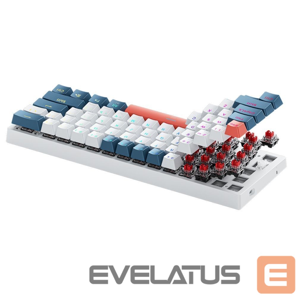 Computer keyboard Machenike Machenike K500-B61 Wired Mechanical Gaming Keyboard with Backlight, Red Switch - White and Blue